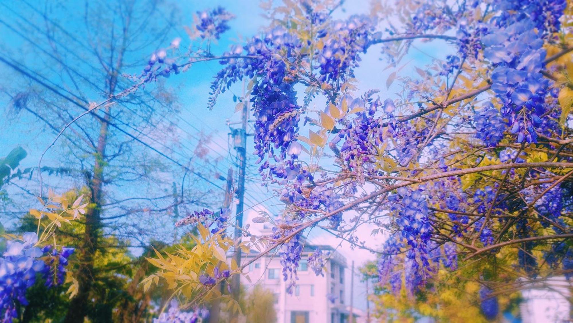 山多香青年民宿 Santhosham Hostel Yilan Exterior foto